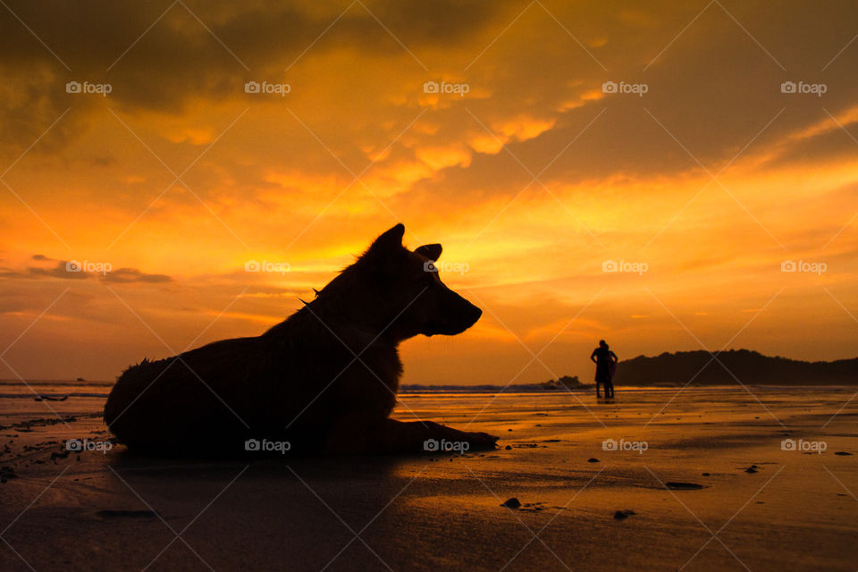 Sunset, Beach, Water, Sea, Ocean