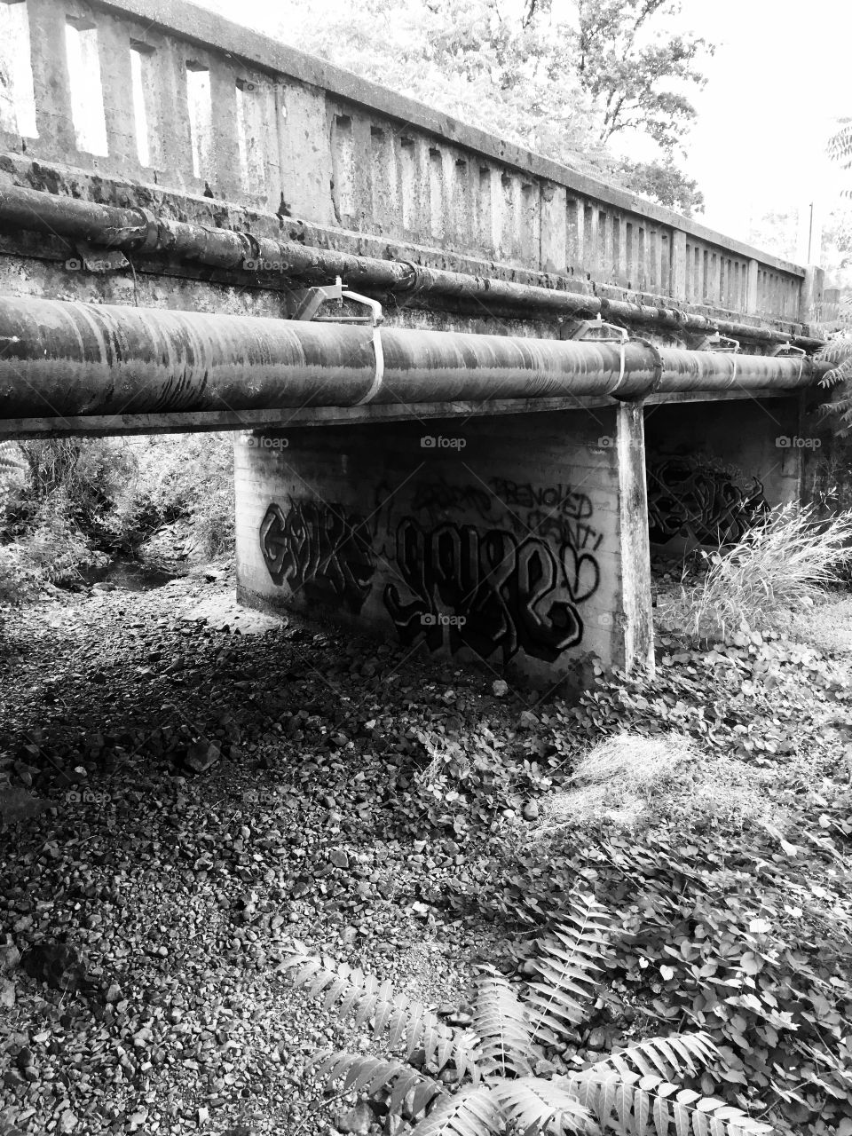 Graffiti under the bridge in black and white 