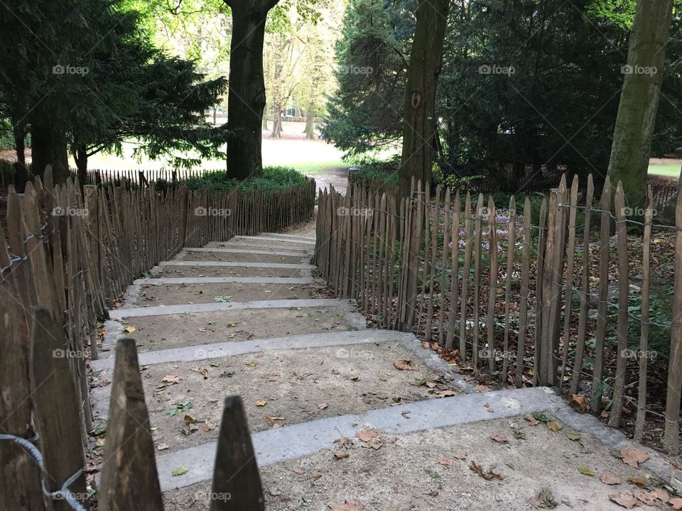 Stairway to fairy land