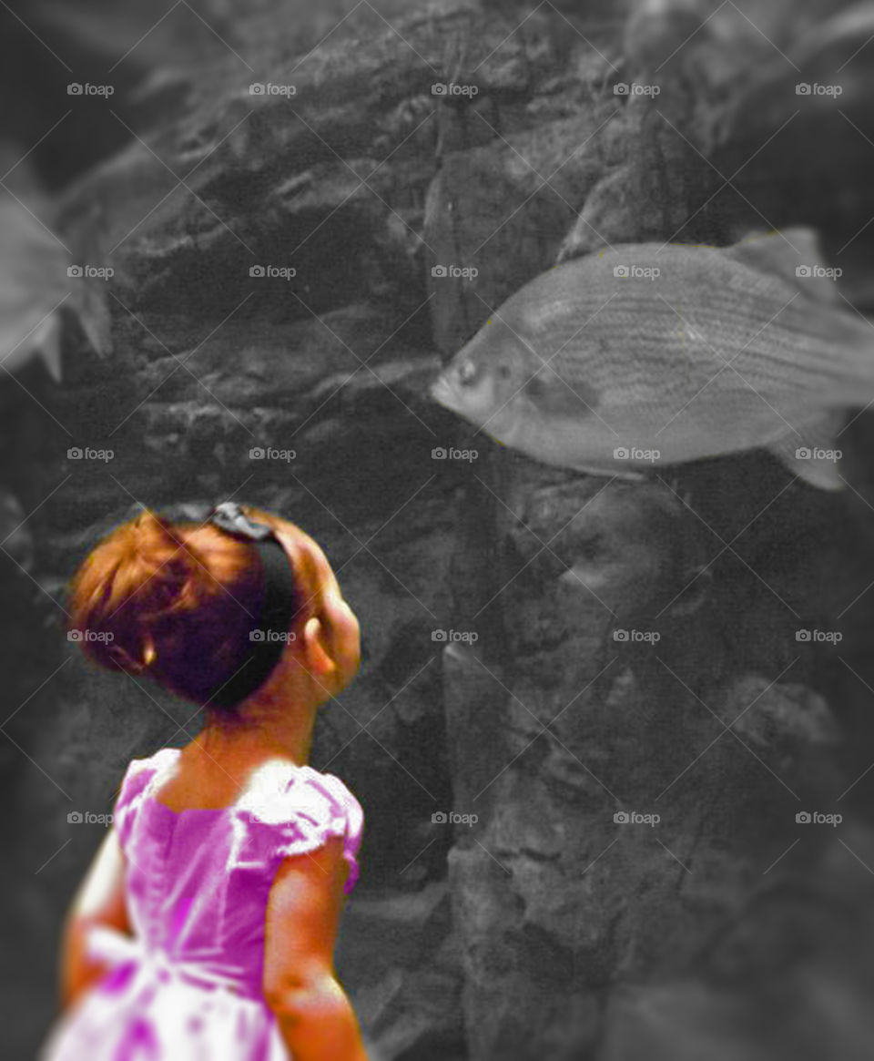 Young Girl Looking at Fish in Tank. This photo was taken a few years ago. I colorized the girl, my granddaughter, and made the rest of the photo black and white with a slight blur around the edges.