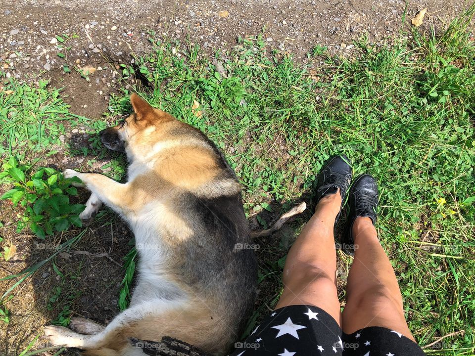 German shepherd sleeping at the feet of its owner