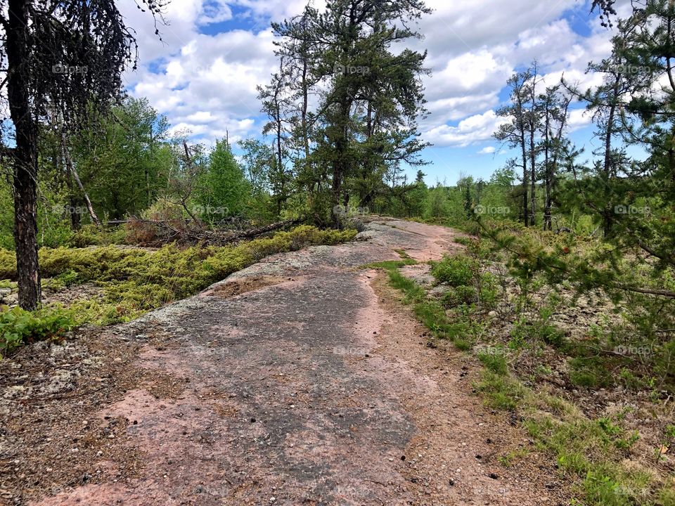 Canadian Shield 