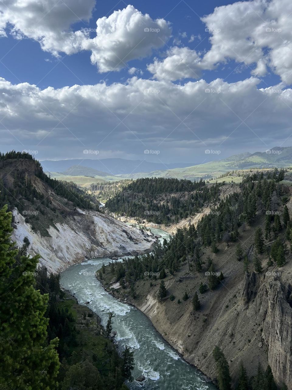 Yellow Stone National Park 