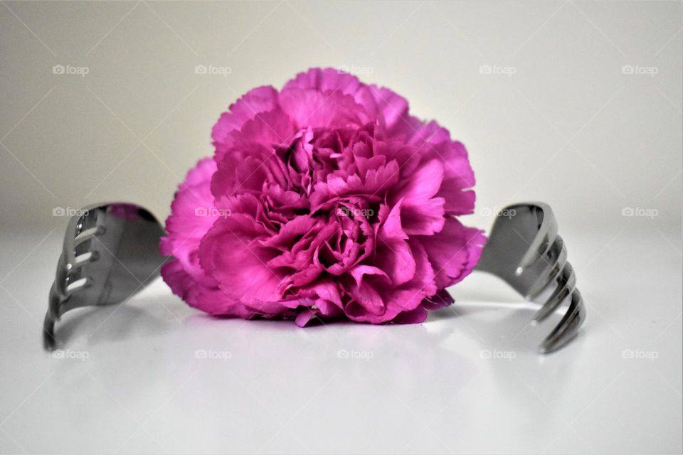 Not Ordinary flower and forks