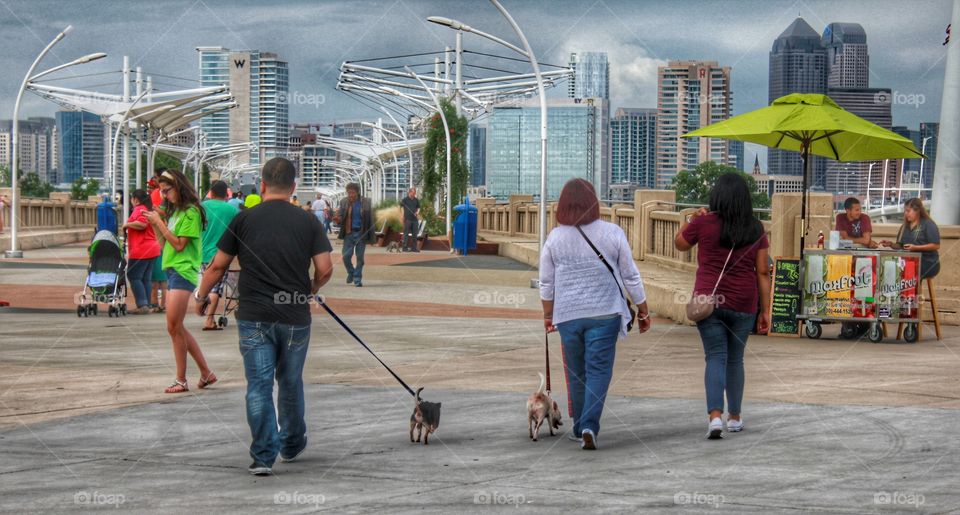 Exploring the city. People walking their dogs on a bridge in Dallas 