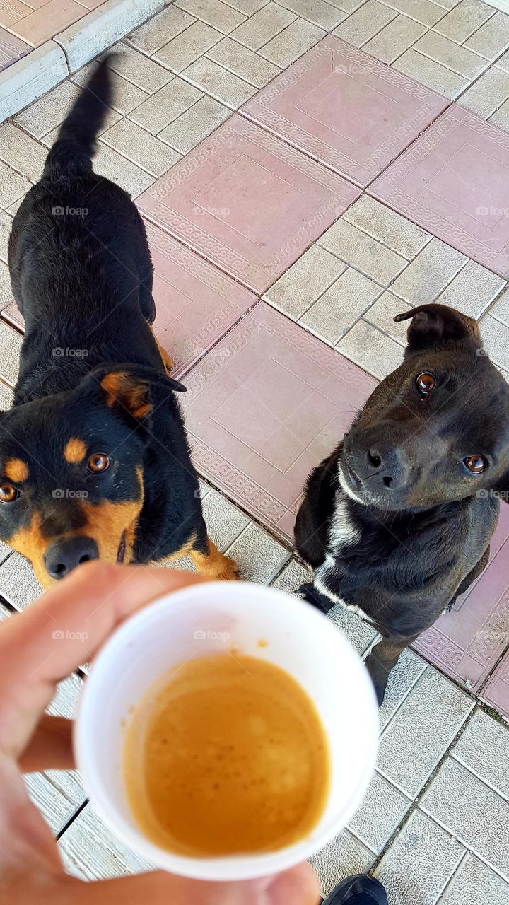 coffee for me?