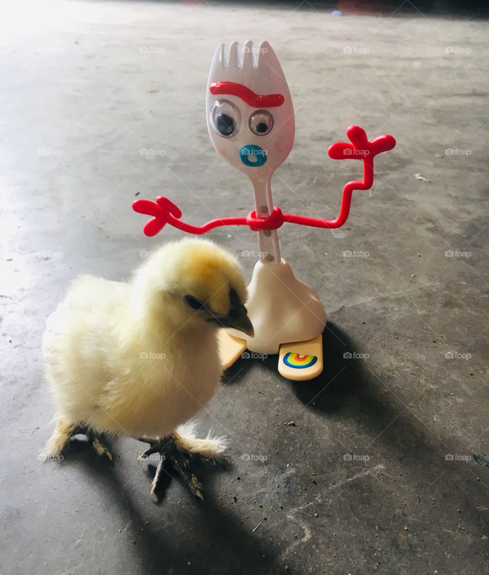 Chick and forky 