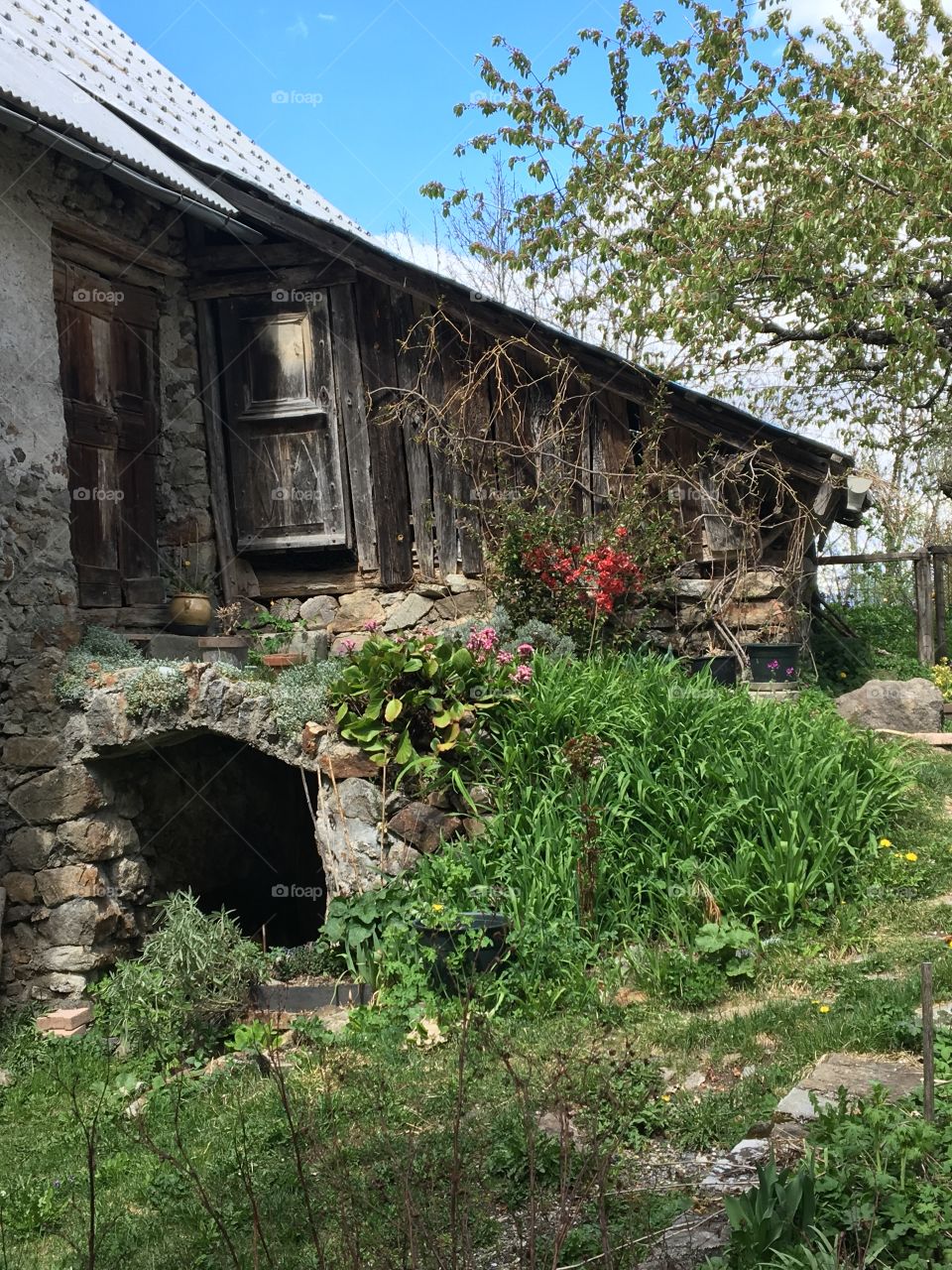 Home in the mountains 