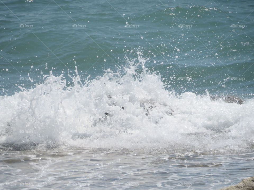 Wasser Natur Welle rauschen Wind