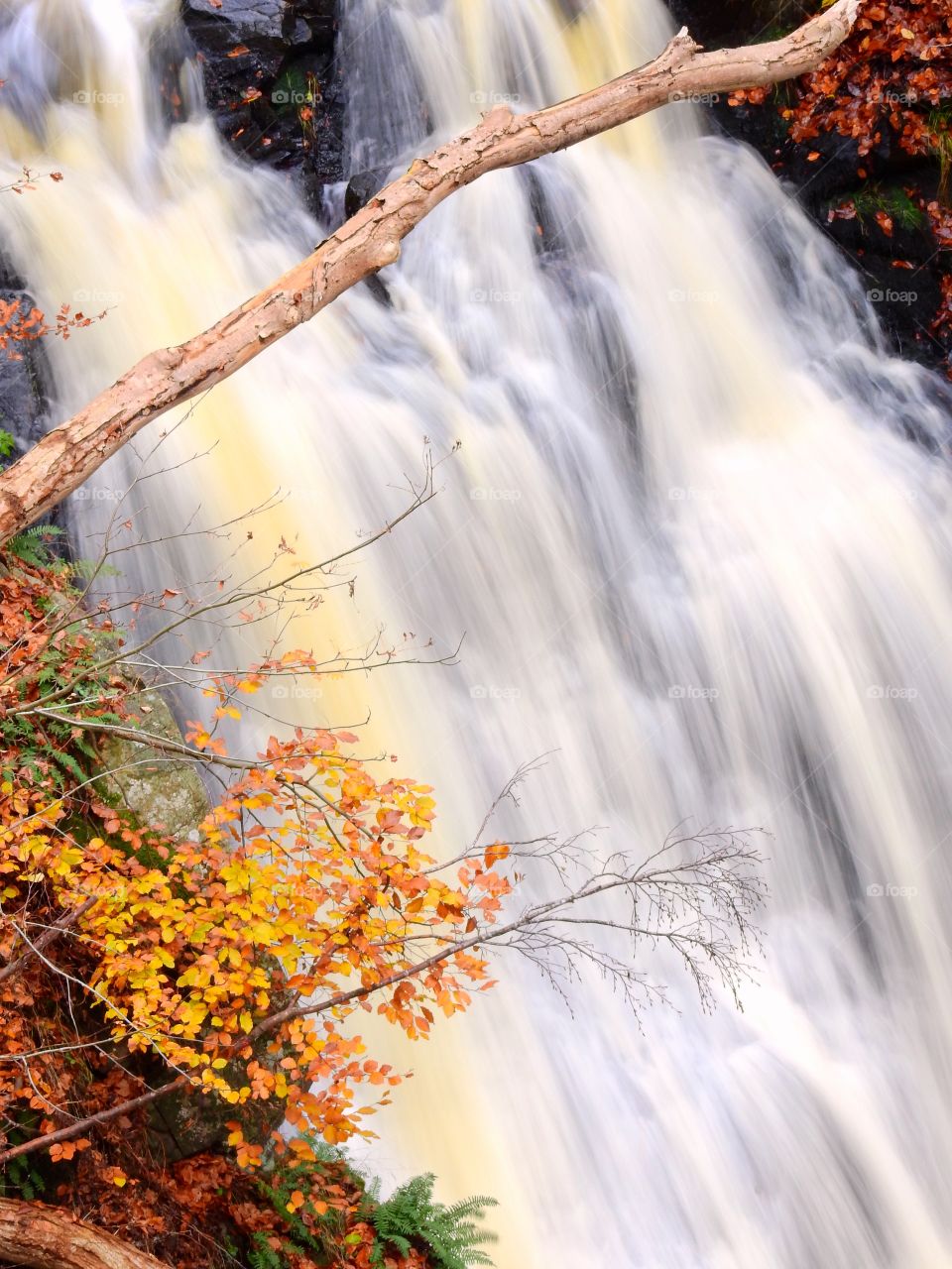 Cascade in fall