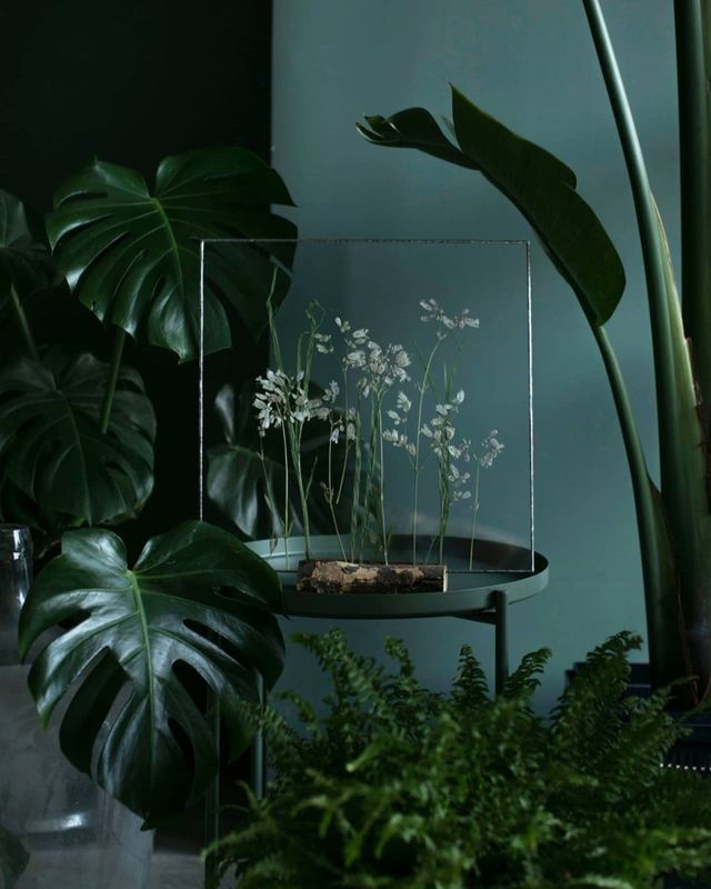flower lover