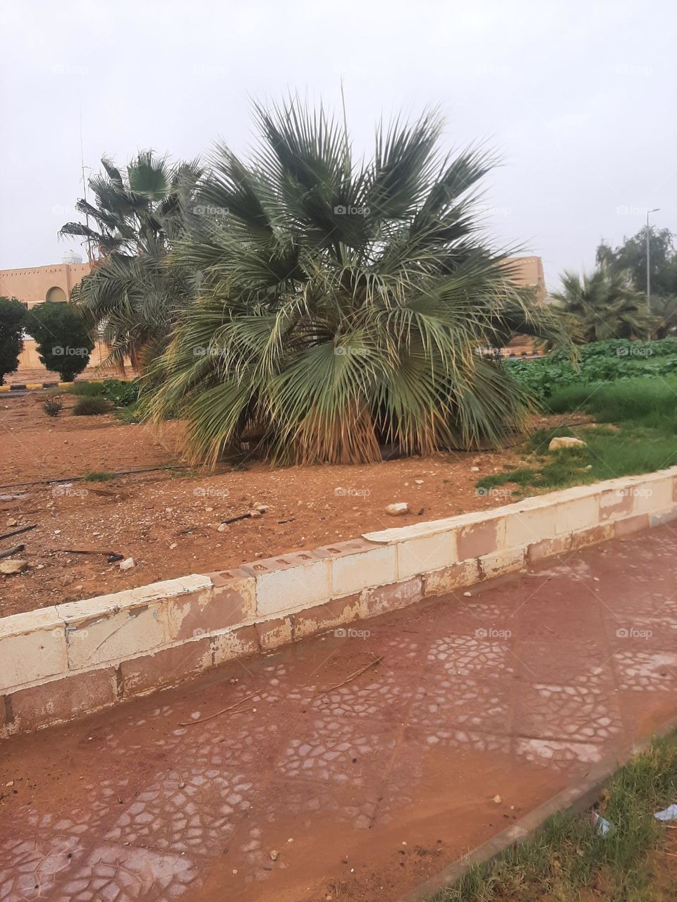 Please help me, I am very poor, I need your support and God is in need