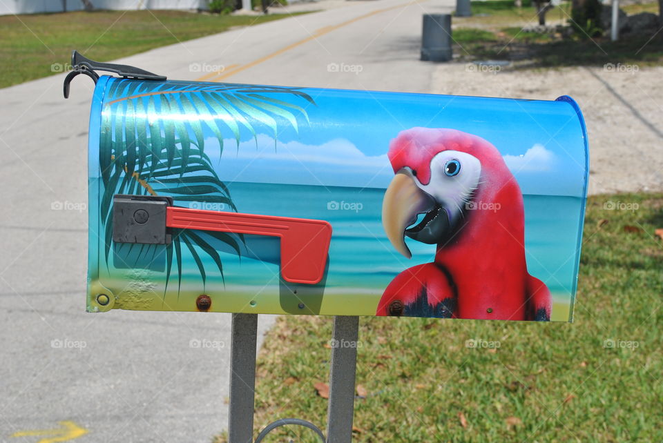 A colorful mail box in Florida Keys