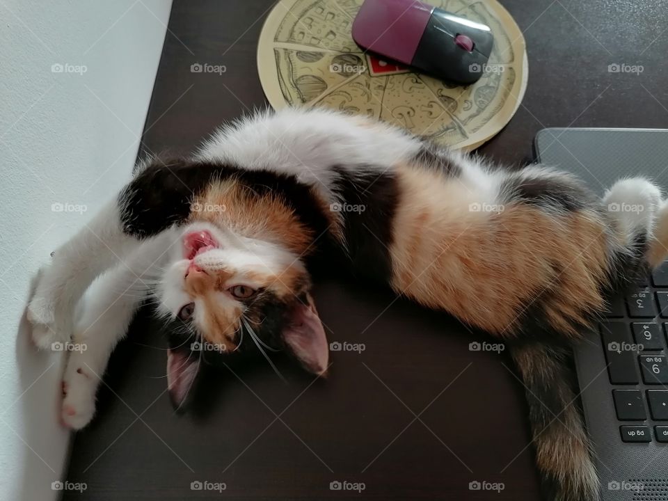 On the table, next to my laptop