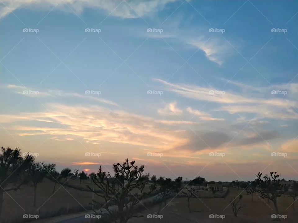 sunset