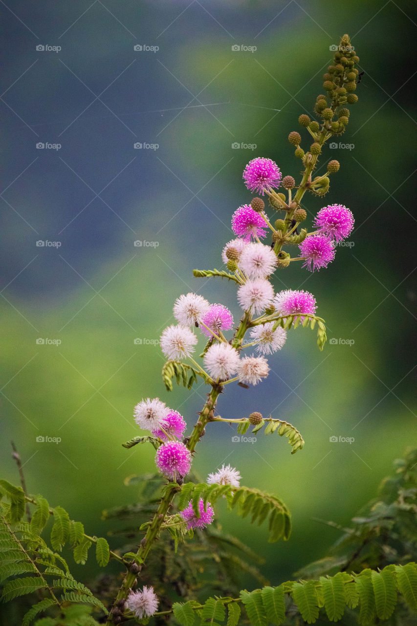 To fulfill the colors of your own life, you should fill the colors into nature first ❤️💙💚💛💜