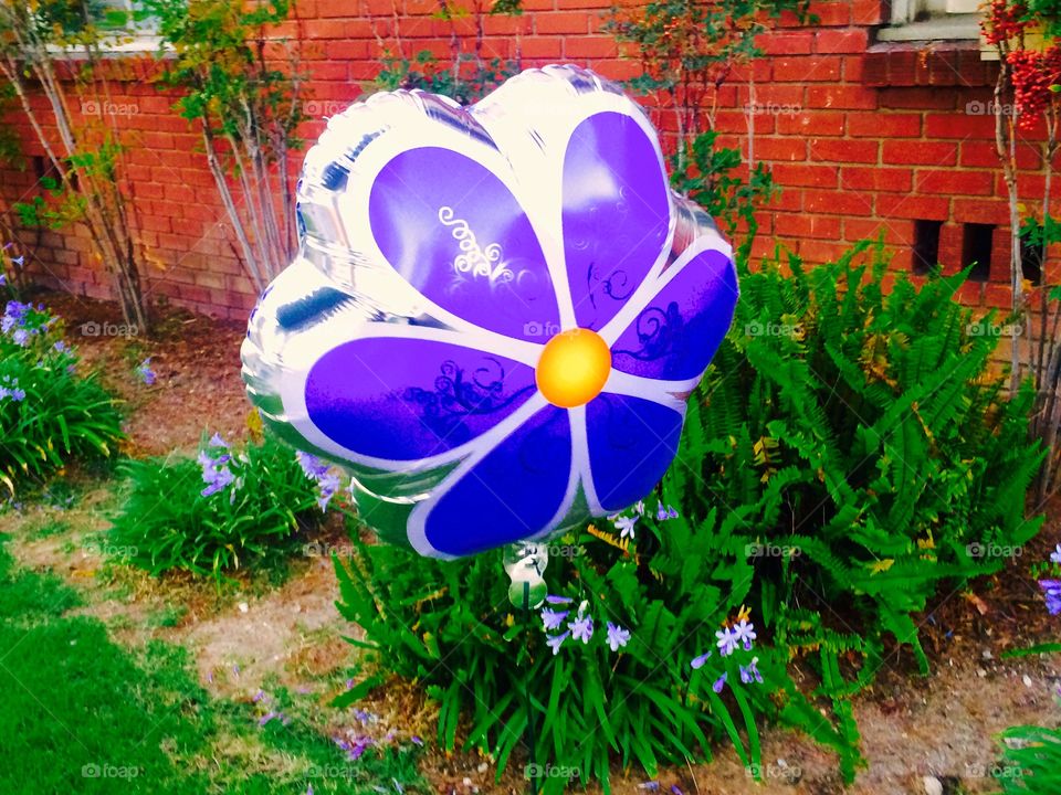 Flower balloon 