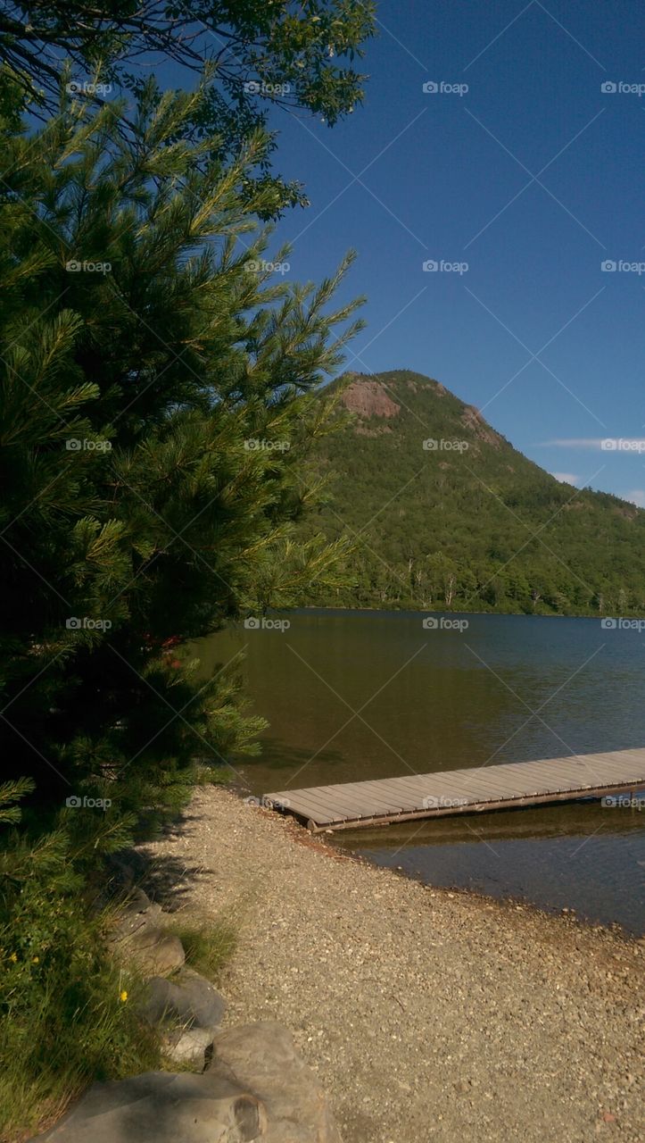 Landscape, Tree, Water, No Person, Lake