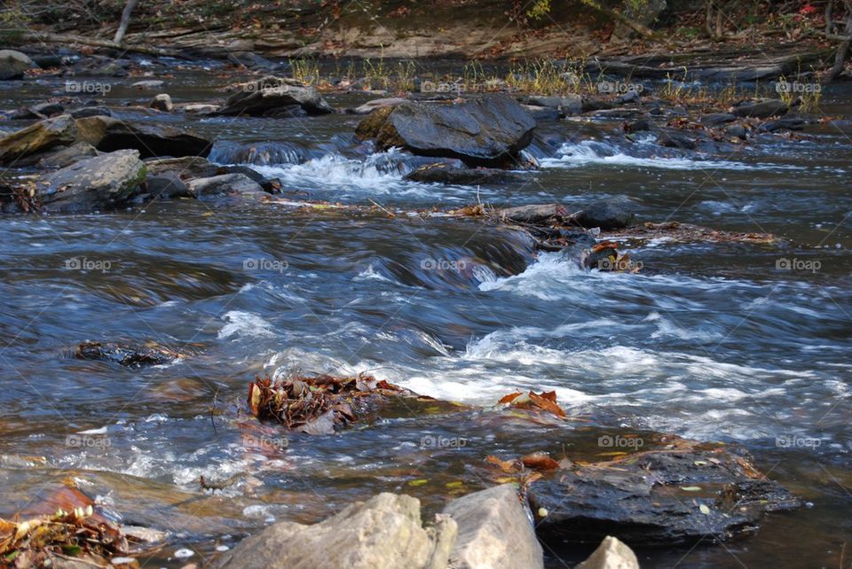 Scenic view of flowing river