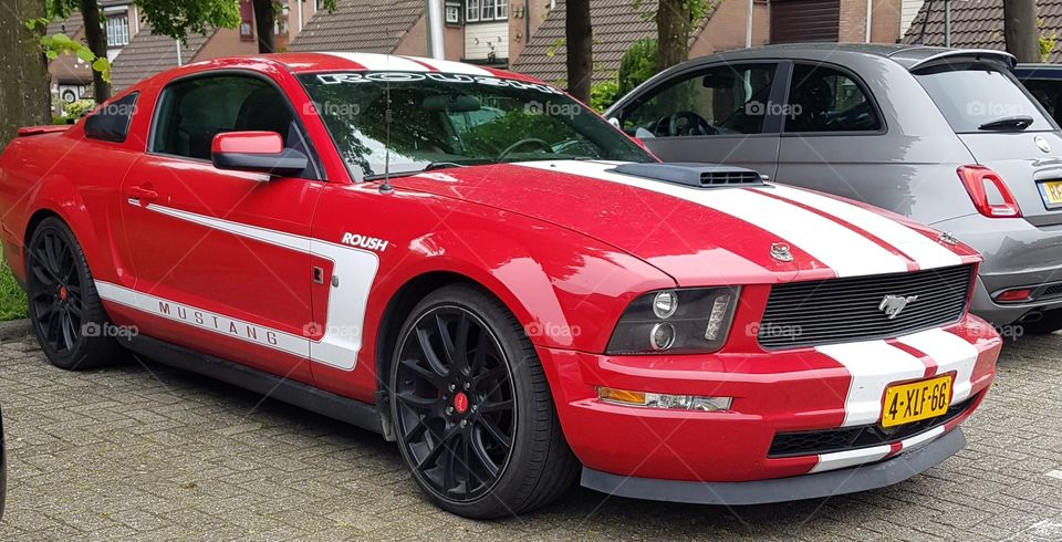 Beautiful red with white mustang car