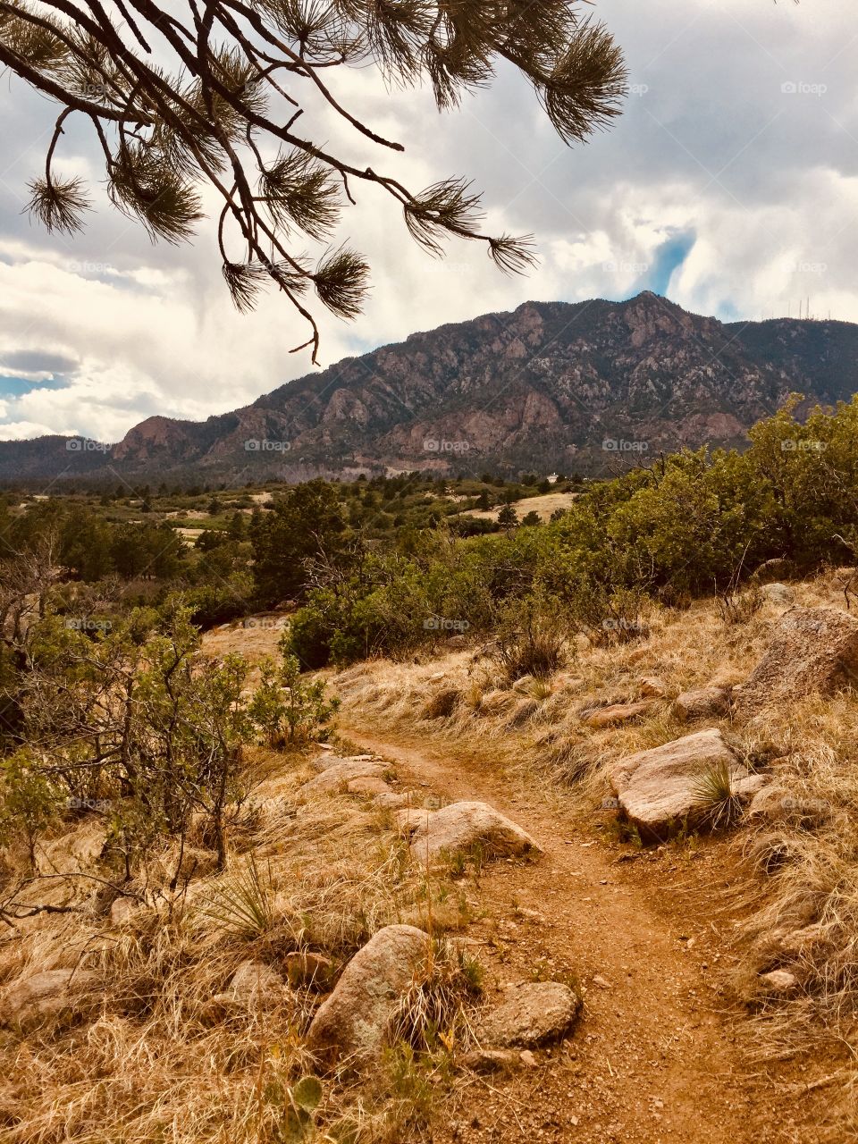 Cheyenne trail