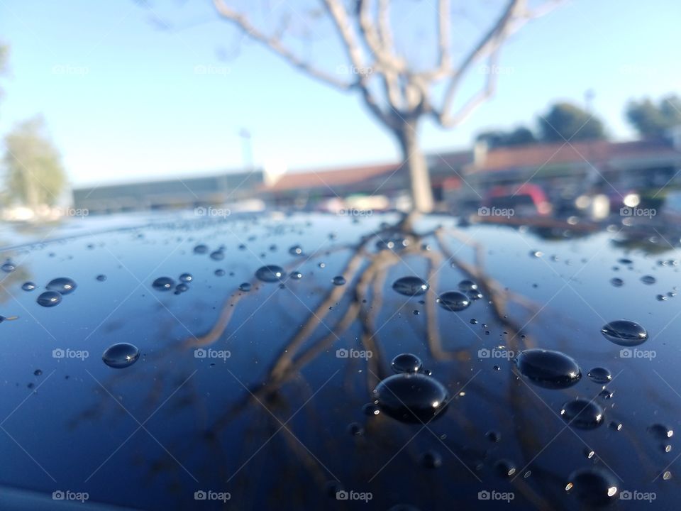 droplets on clear day
