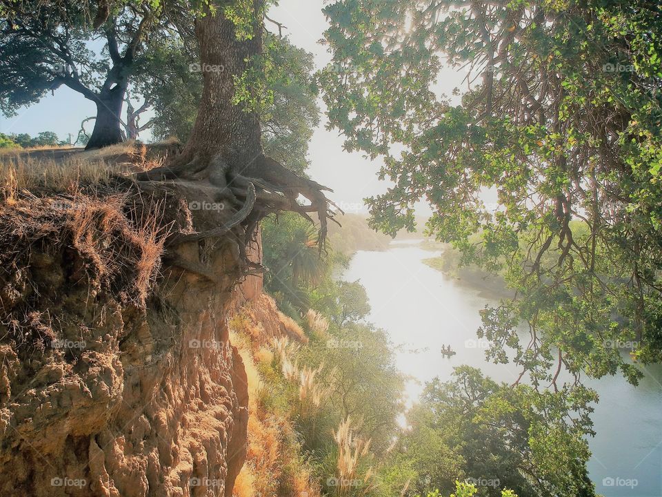 drone photography over the edge of a tree losing ground