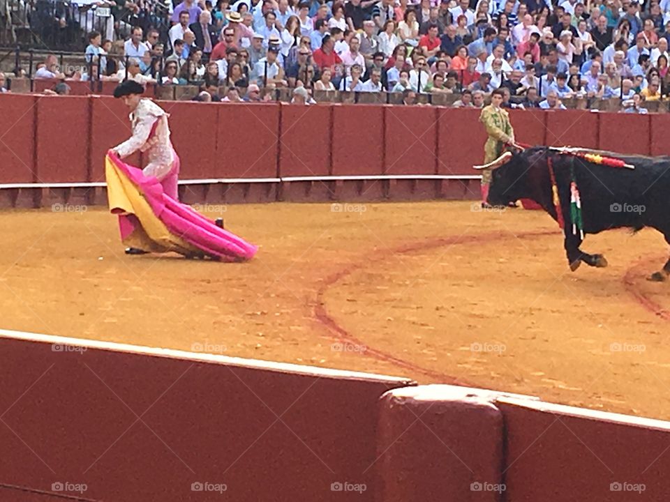 Seville, Spain “Bullfight”