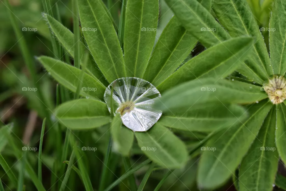 A drop