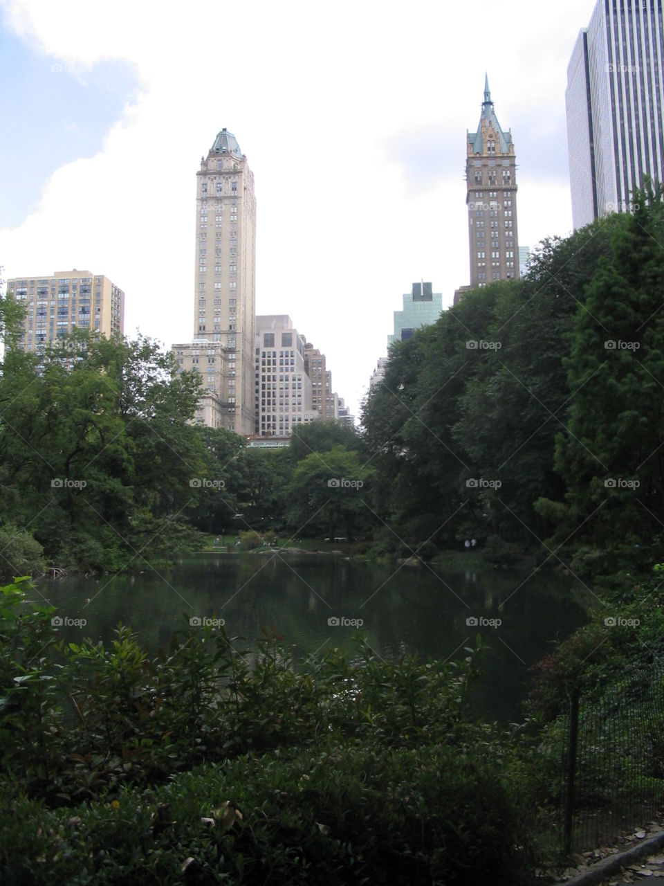 Central Park view of cityscape through trees in New York City.