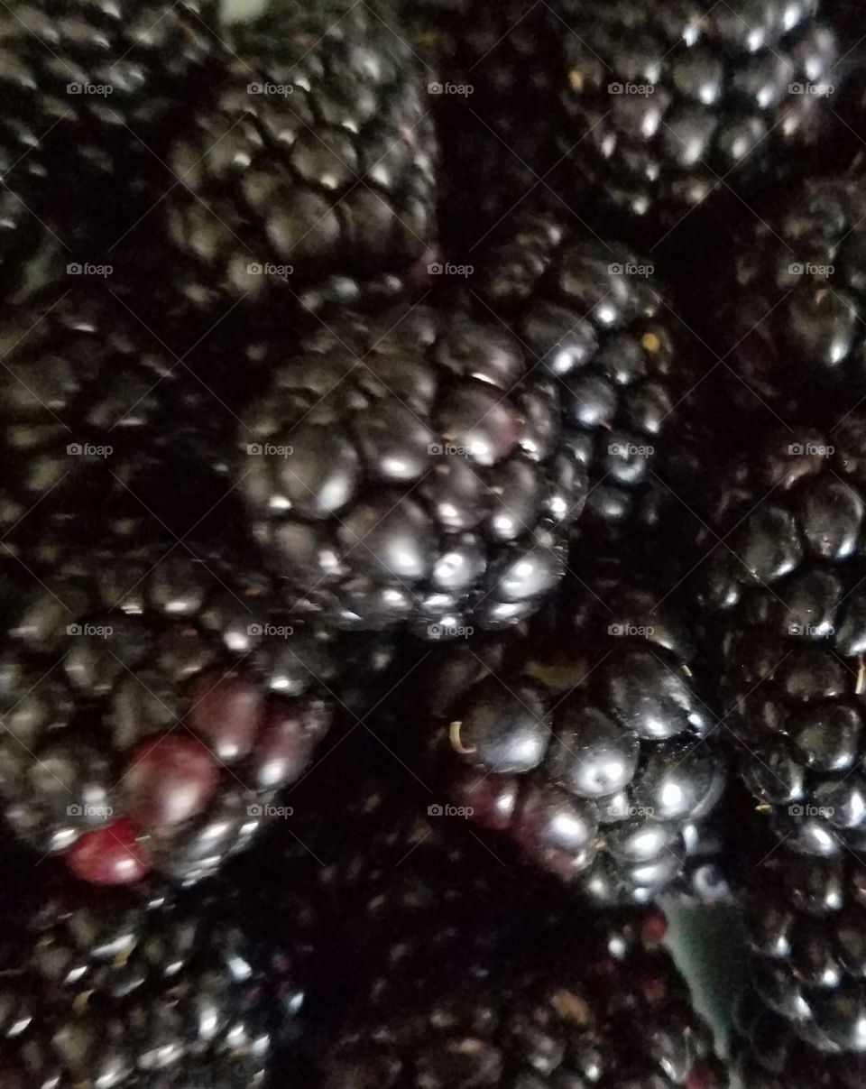 blackberries,fresh, close-up, healthy