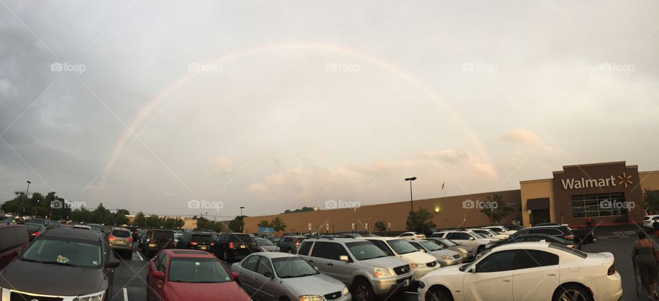 The rainbow 