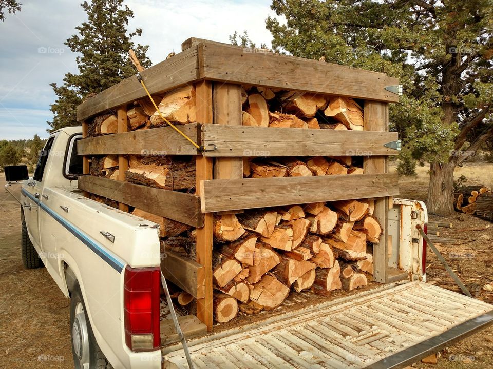 Firewood Spilt Juniper