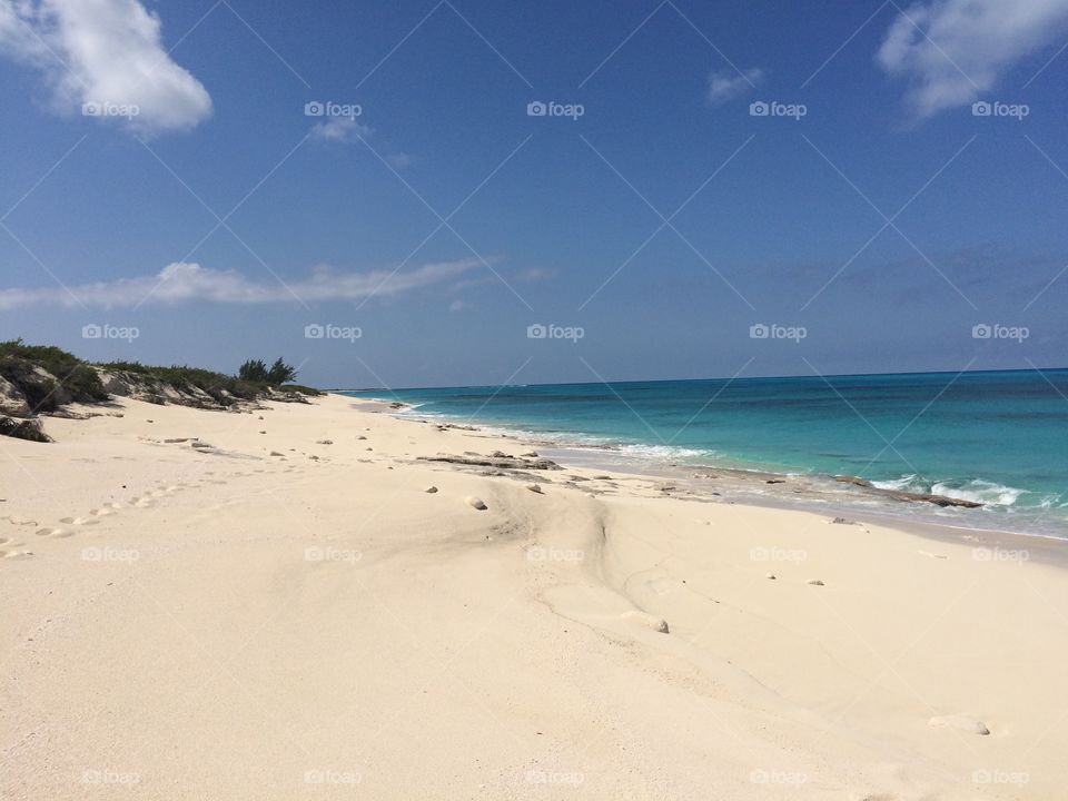 Scenic view of beach