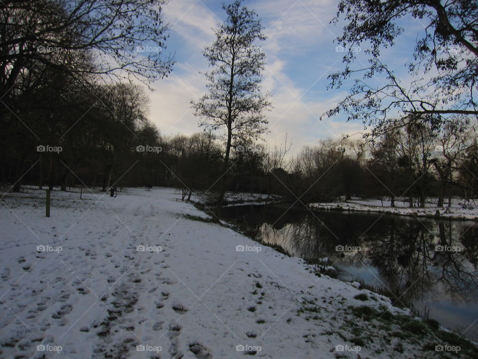 River In Winter