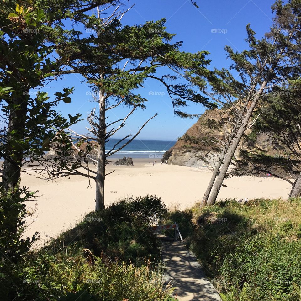 View of beach against sky