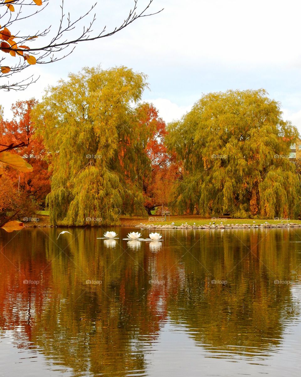 Colorful reflections