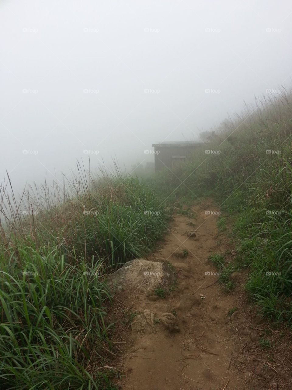 Lantau Mountain Hiking Trail in the Morning Fog