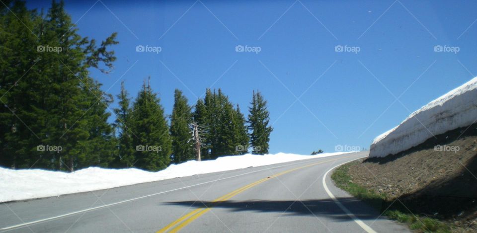 Surprises await up around the bend on a road trip through trees and snow in the Pacific Northwest