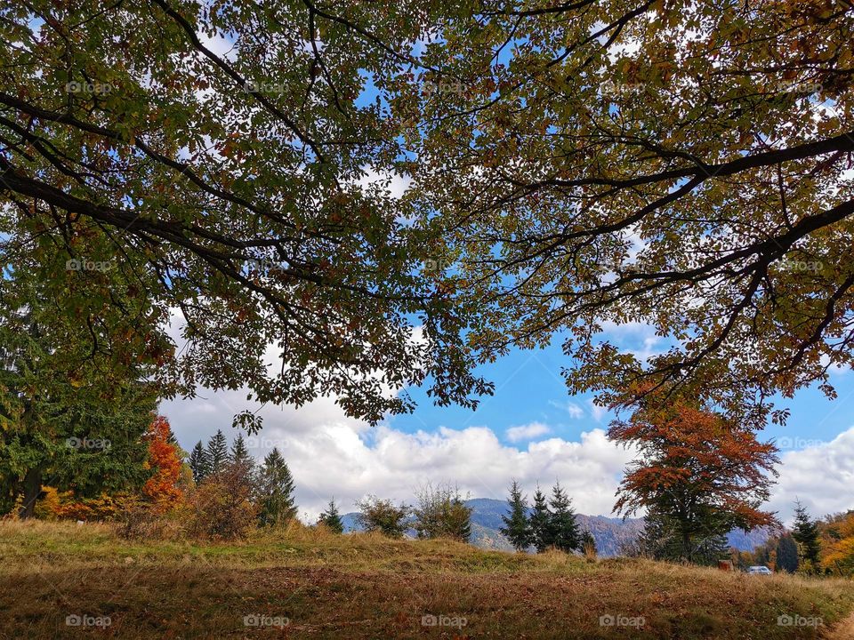 Nature paints every memory