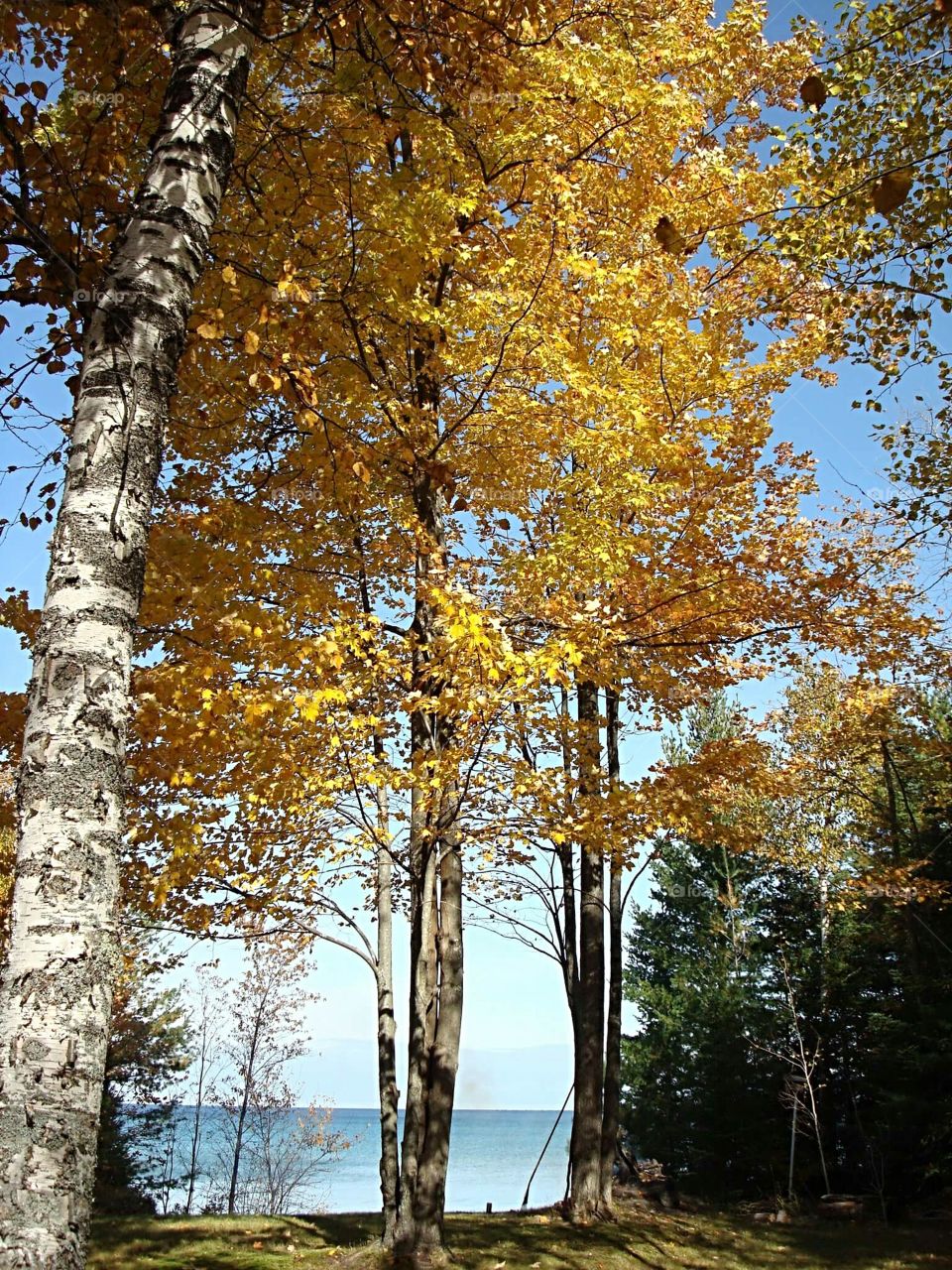 Beautiful crisp fall day on Lake Huron (East side of MI)