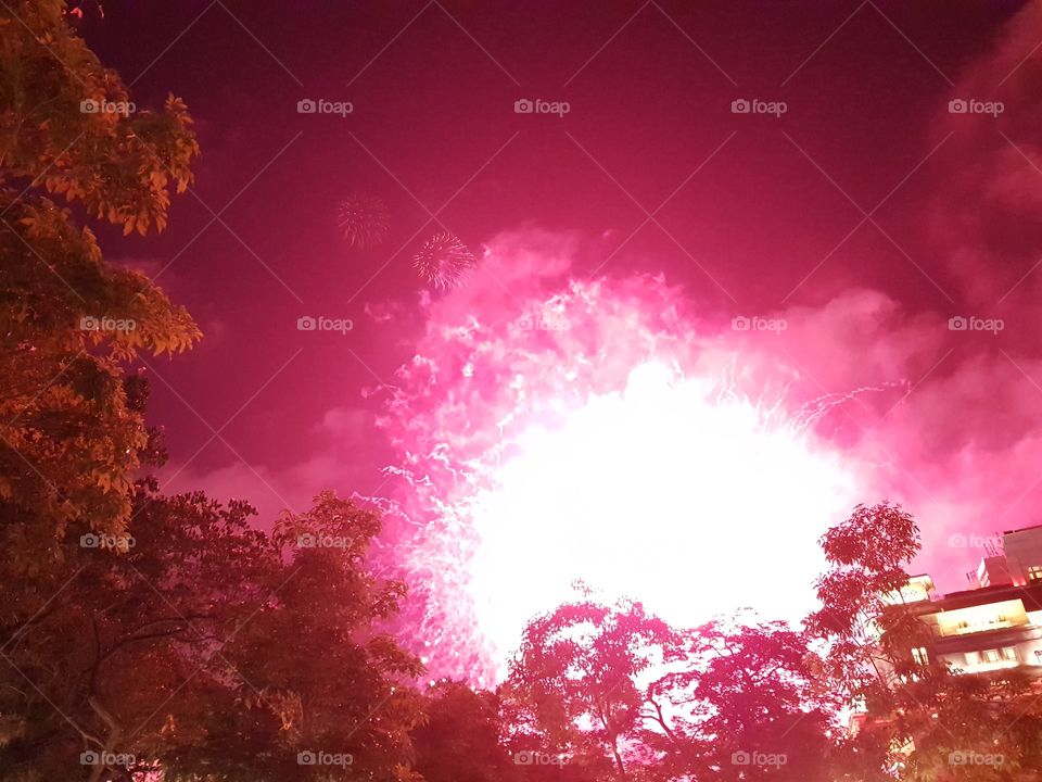 Pink Fireworks