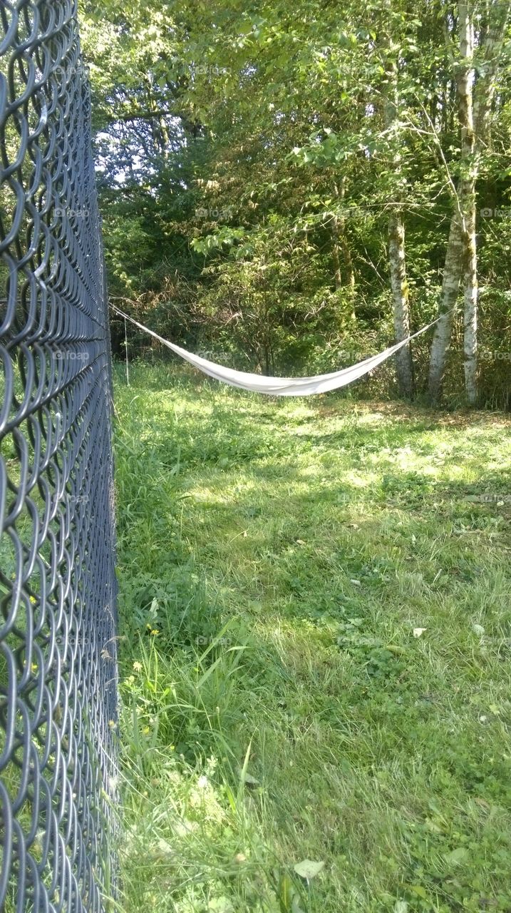 Empty hammock