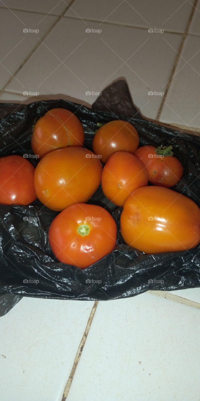 tomates