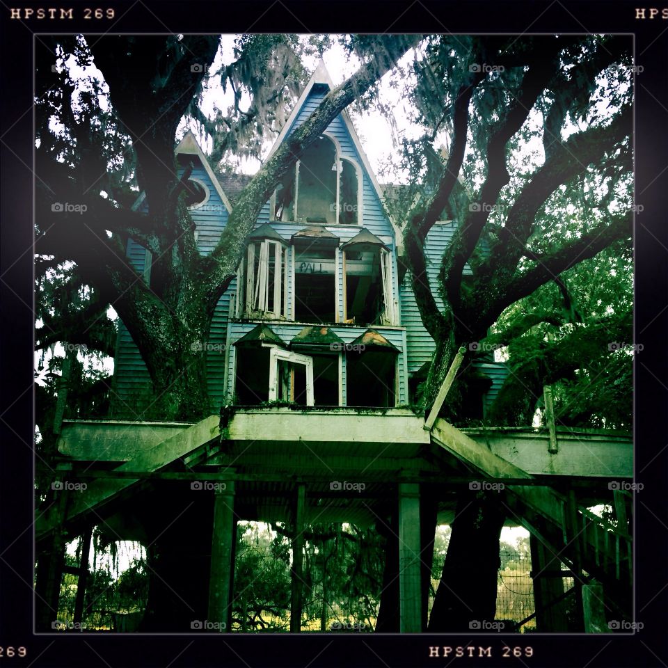 Abandoned Victorian treehouse 