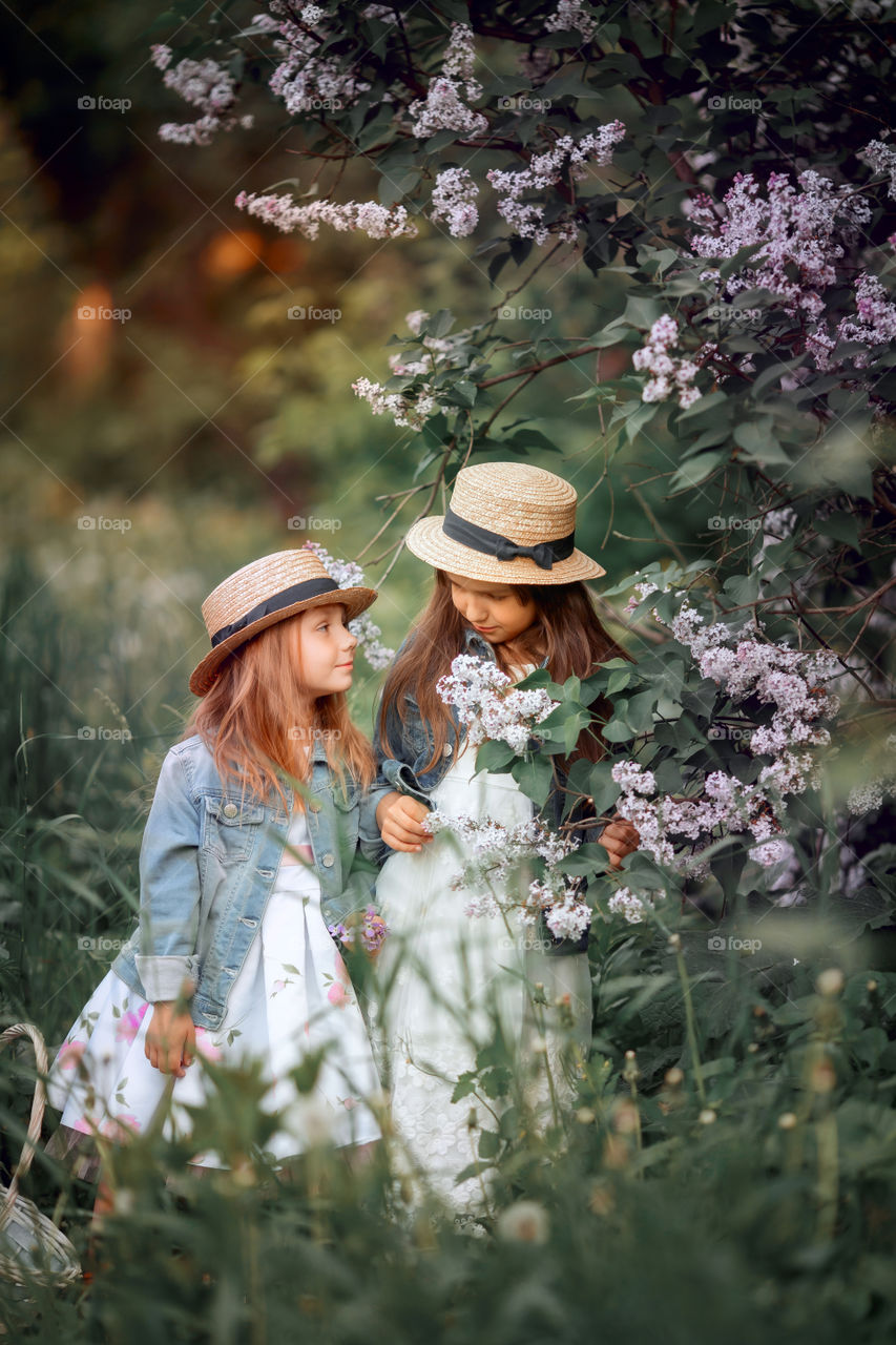 Little sisters in a hat near blossom lilac tree at sunset 