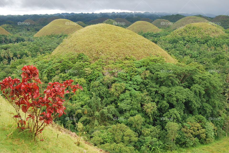 Chocolate Hills in Bohol Philippines