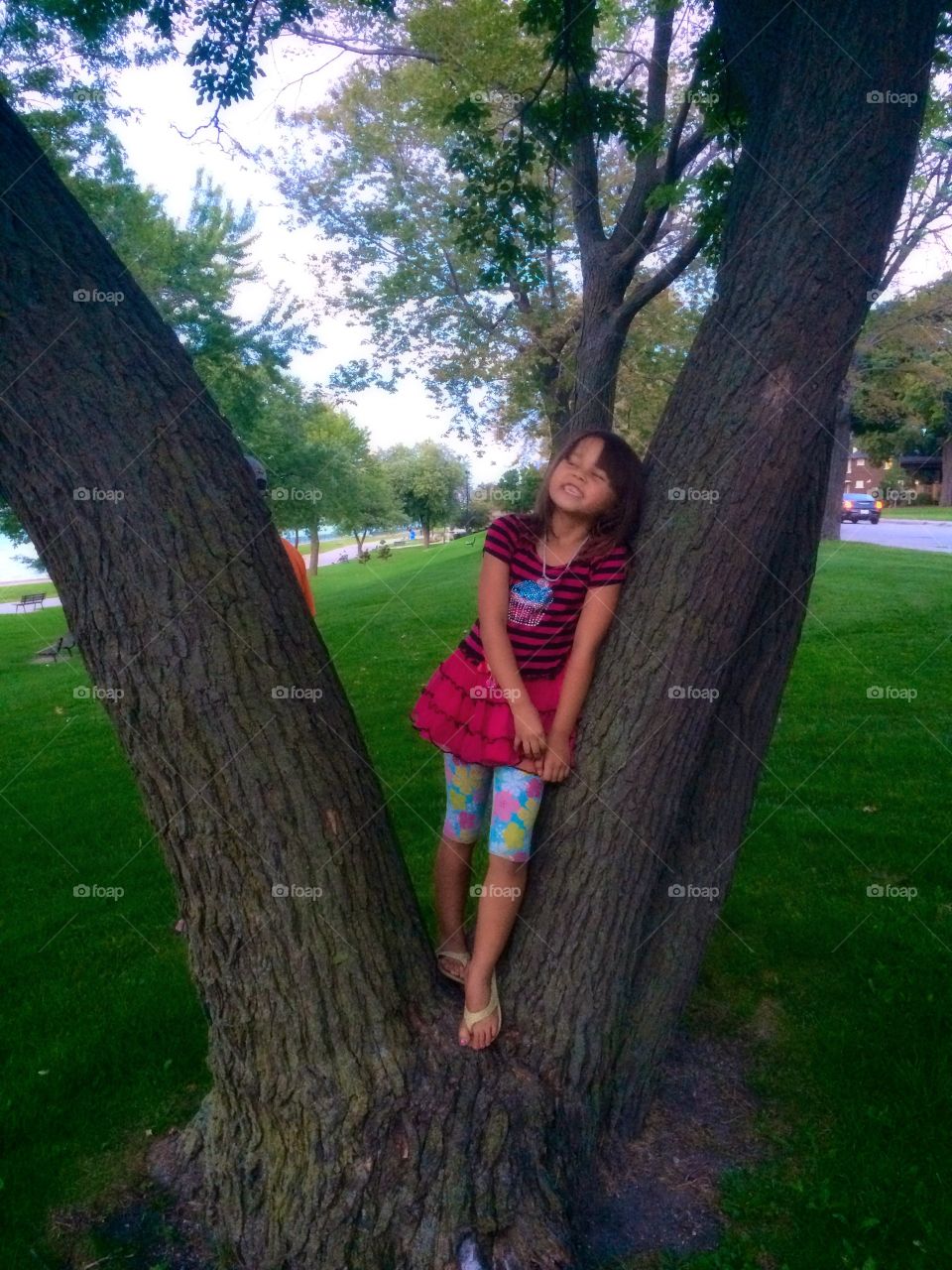 Tree girl 