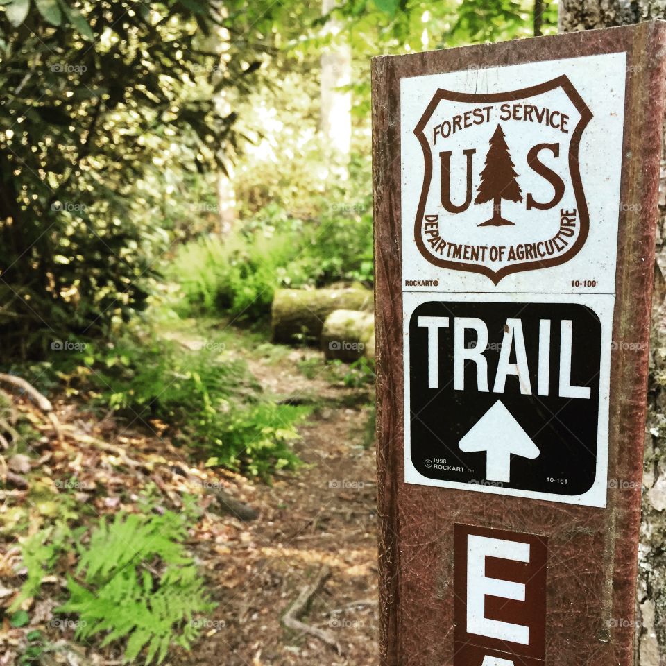 Trail head at the fish hatchery in Walhalla, SC