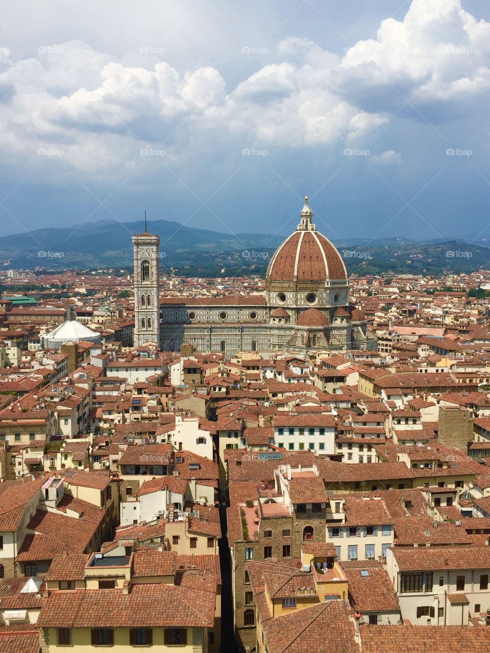 A tower view of Florence 